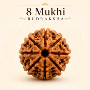 8 Mukhi Rudraksha