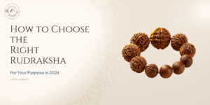 Why More Young Professionals Are Wearing Rudraksha in 2026